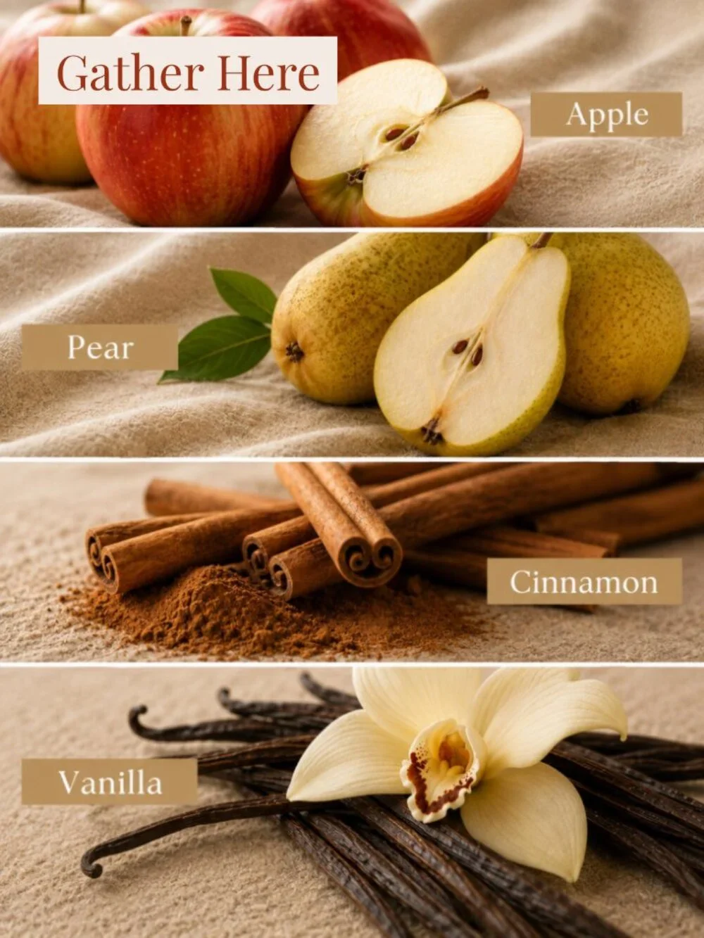 Harvest Collection Candle Set, Luxury Fall Candles, Thanksgiving Hostess Gift